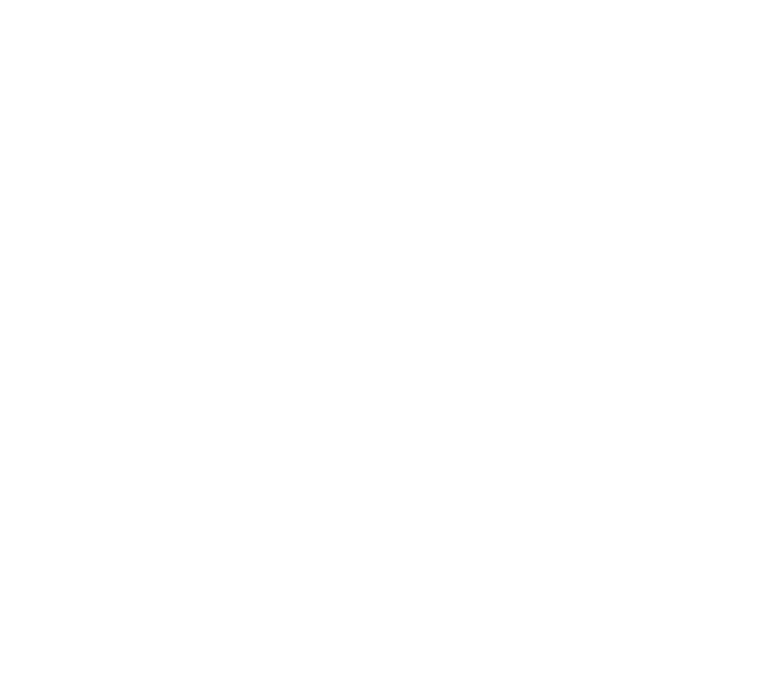 Intern transport